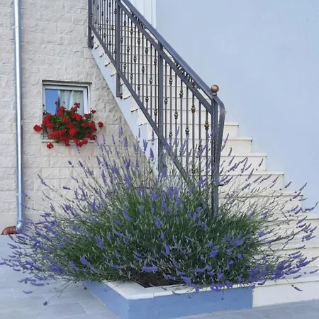 Lotte Apartmán Solin